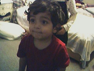 Click on picture to enlarge