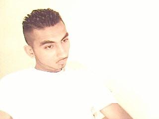 Click on picture to enlarge