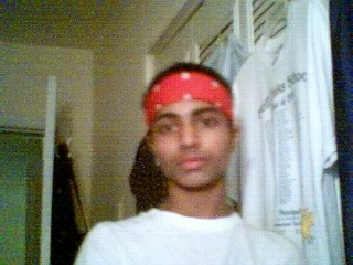 Click on picture to enlarge