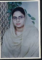 Click on picture to enlarge