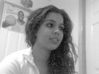 Click on picture to enlarge