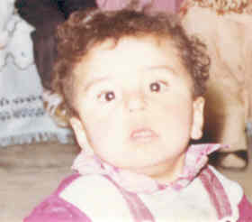 Click on picture to enlarge