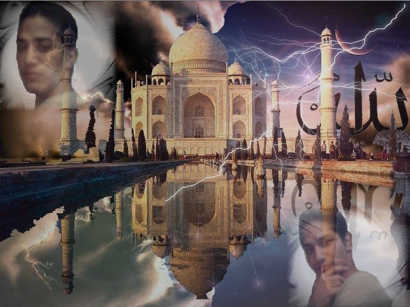 Click on picture to enlarge