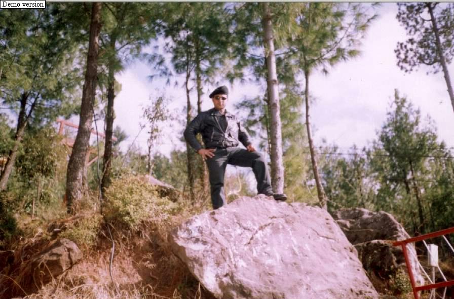 Click on picture to enlarge