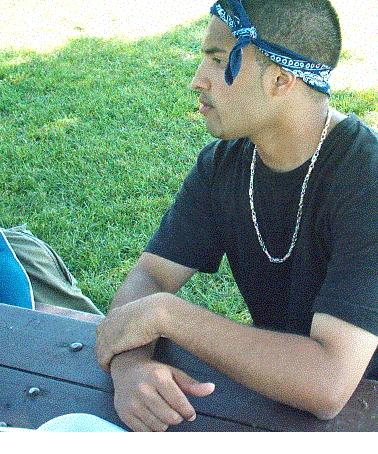 Click on picture to enlarge