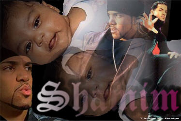 Click on picture to enlarge