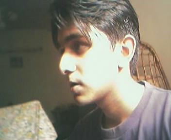 Click on picture to enlarge