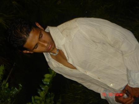 Click on picture to enlarge