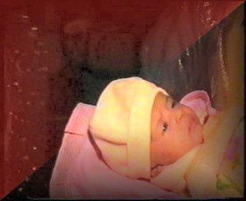 Click on picture to enlarge