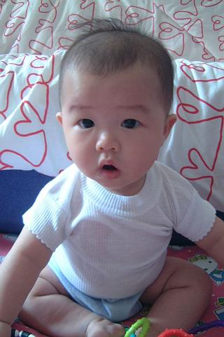 Click on picture to enlarge