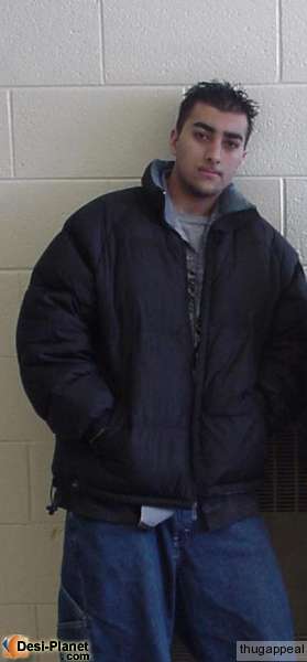 Click on picture to enlarge