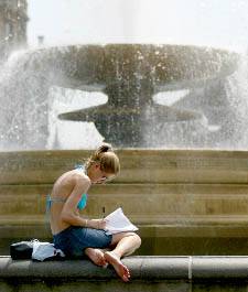 Click on picture to enlarge