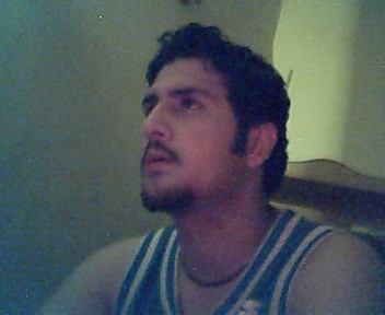 Click on picture to enlarge