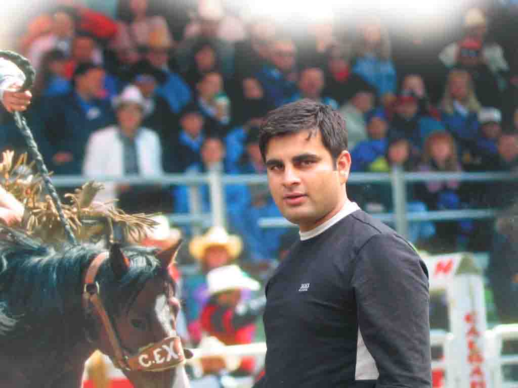 Click on picture to enlarge