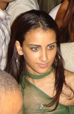 Click on picture to enlarge