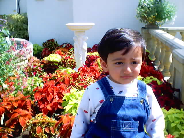 Click on picture to enlarge