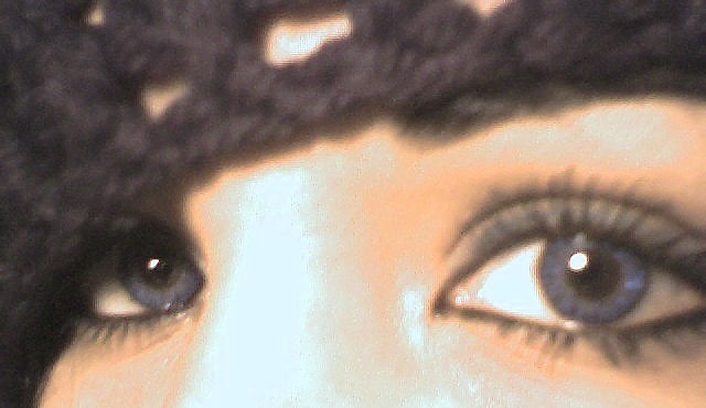 Click on picture to enlarge