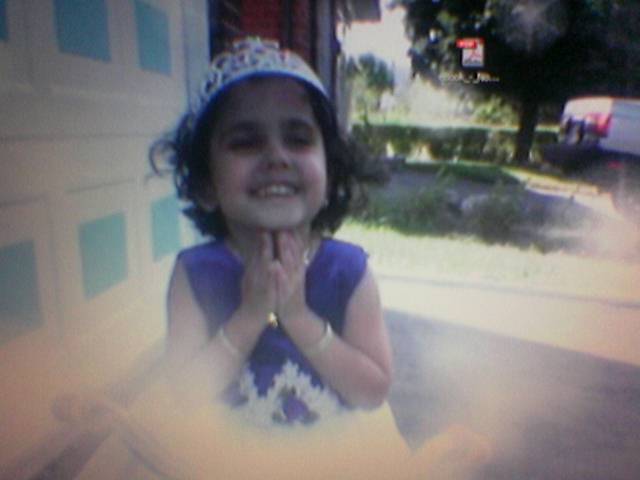 Click on picture to enlarge