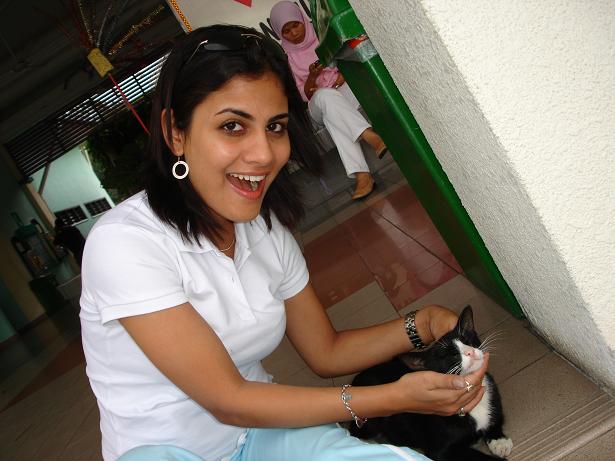 Click on picture to enlarge