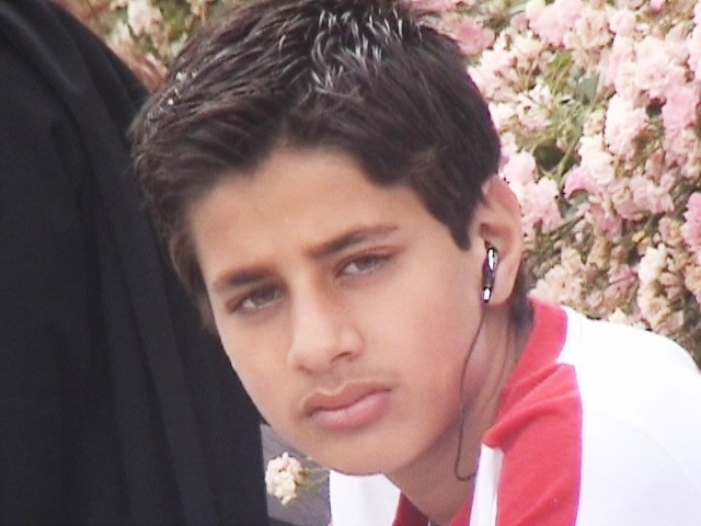 Click on picture to enlarge