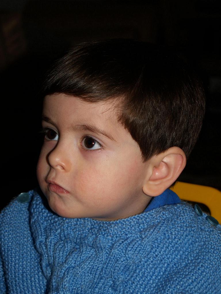 Click on picture to enlarge