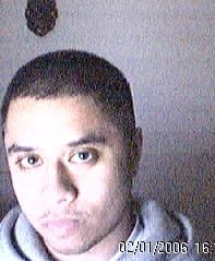 Click on picture to enlarge