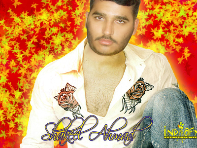 Click on picture to enlarge