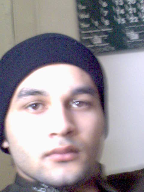 Click on picture to enlarge