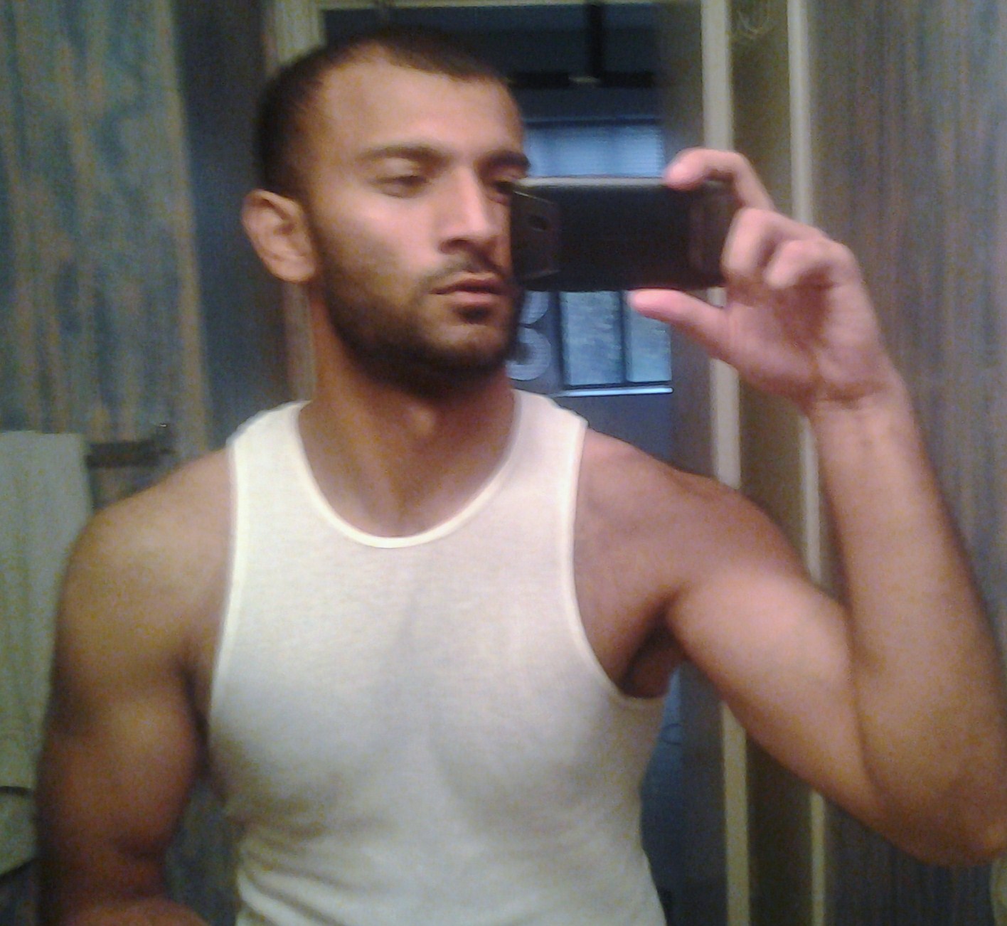 Click on picture to enlarge